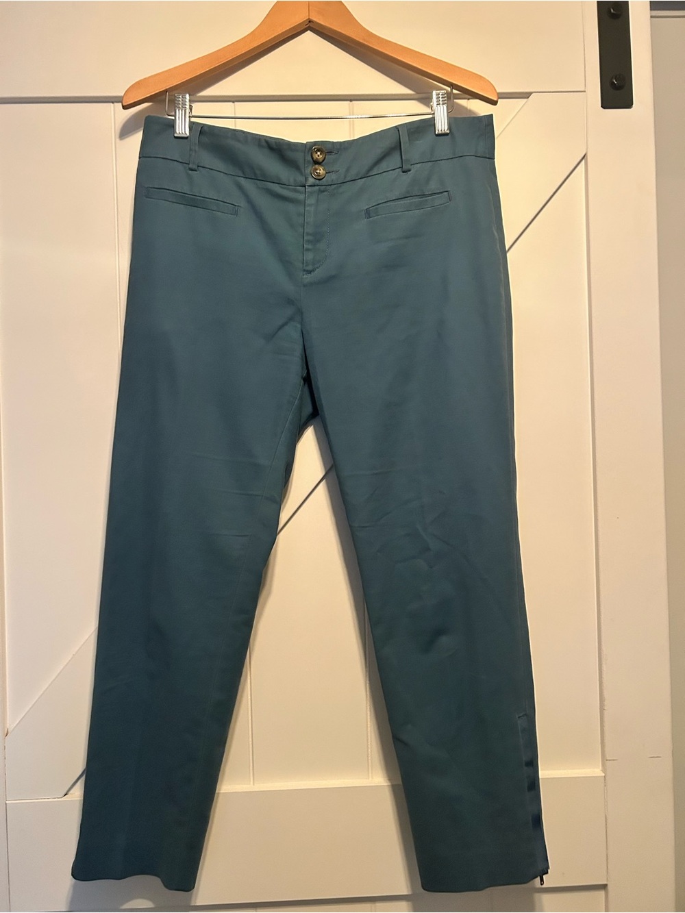 Cartonnier Charlie Ankle Dress Pants Women Size 10 Discontinued